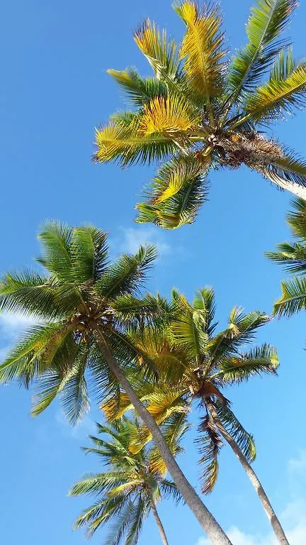 Apartment Cactus Anse Des Rochers Saint-Francois  Guadeloupe