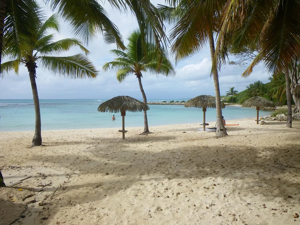Cactus Anse Des Rochers Saint-Francois  Guadeloupe